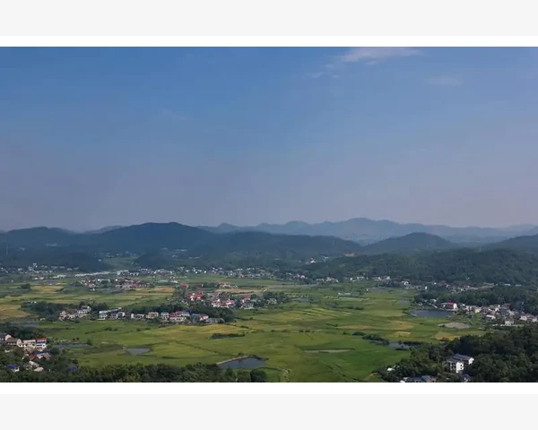 泡脚养生：能否改善脾胃虚弱问题？