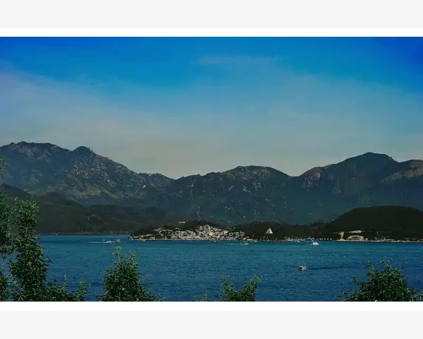 板蓝根：你身边的驱寒小能手